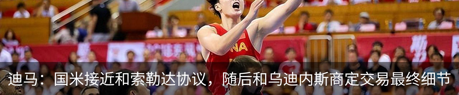 最新动态